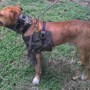 Hog Hunting Supplies | Product categories | Native Dog Supply